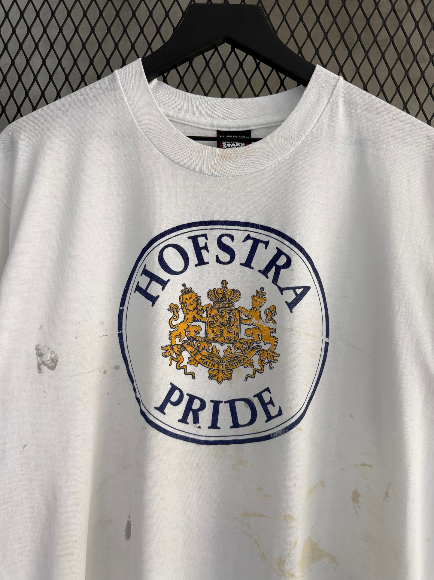 Vintage 1990s Hofstra Pride Trashed Tee