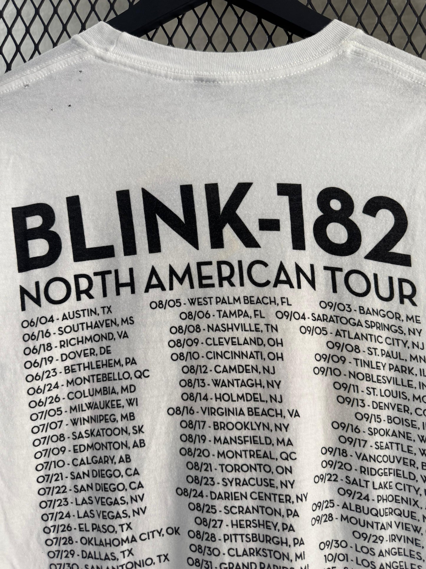 2016 Blink 182 North America Tour (Modern)