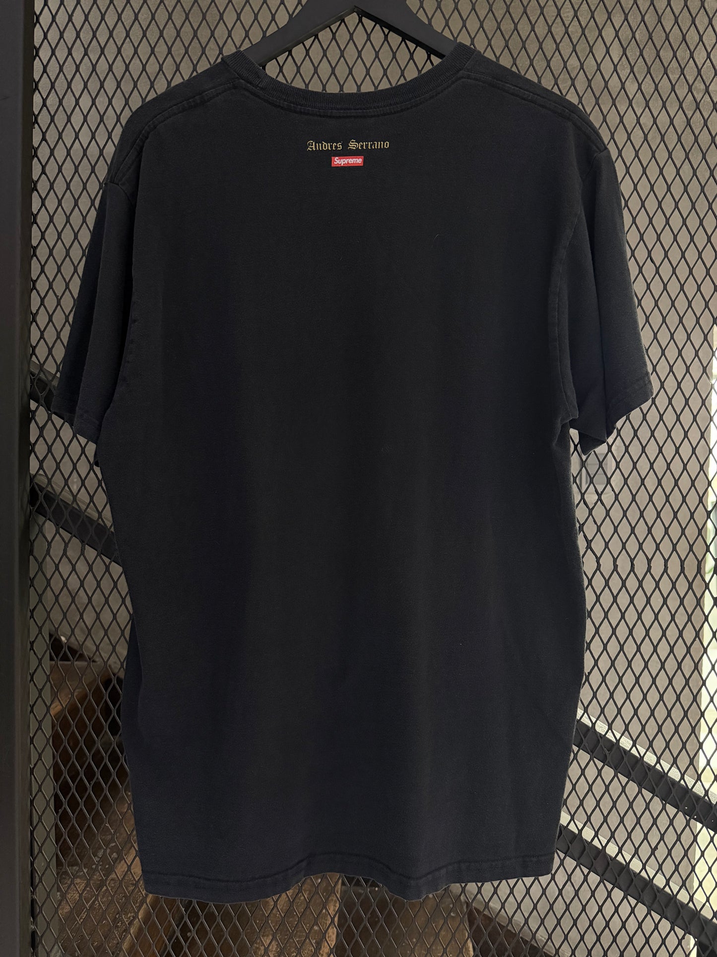 Supreme Andres Serrano Piss Christ Tee FW17